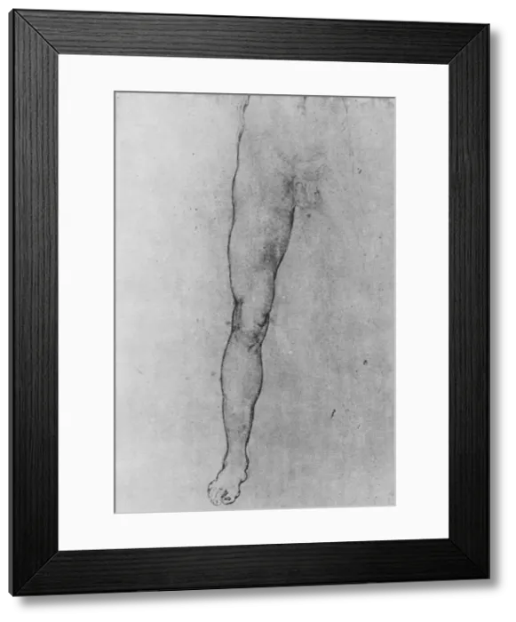 Framed Print : Study of the Lower Half of a nude man facing to the front, c1480 (1945). Artist: Leonardo da Vinci