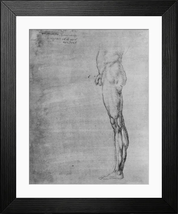 Framed Print : Study of the Body and Leg of a Man, c1480 (1945). Artist: Leonardo da Vinci Framed Print : Study of the Body and Leg of a Man, c1480 (1945). Artist: Leonardo da Vinci
