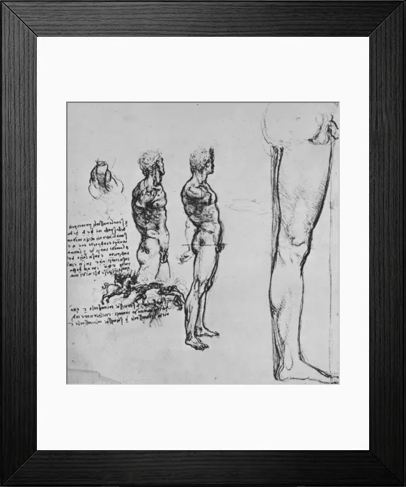 Framed Print : Studies of Nudes and Smaller Sketch of a Battle, c1480 (1945). Artist: Leonardo da Vinci Framed Print : Studies of Nudes and Smaller Sketch of a Battle, c1480 (1945). Artist: Leonardo da Vinci