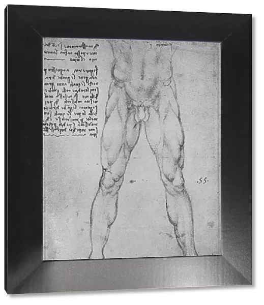 Study of the Lower Half of a Nude Man Facing to the Front, c1480 (1945). Artist: Leonardo da Vinci