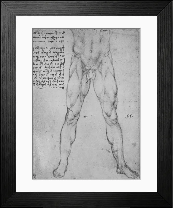 Framed Print : Study of the Lower Half of a Nude Man Facing to the Front, c1480 (1945). Artist: Leonardo da Vinci Framed Print : Study of the Lower Half of a Nude Man Facing to the Front, c1480 (1945). Artist: Leonardo da Vinci