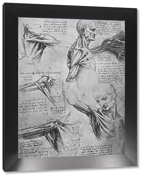 Anatomical Studies of a Mans Neck and Shoulders, c1480 (1945). Artist: Leonardo da Vinci