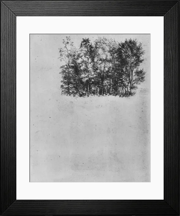 Framed Print : Study of a Coppice, c1480 (1945). Artist: Leonardo da Vinci Framed Print : Study of a Coppice, c1480 (1945). Artist: Leonardo da Vinci