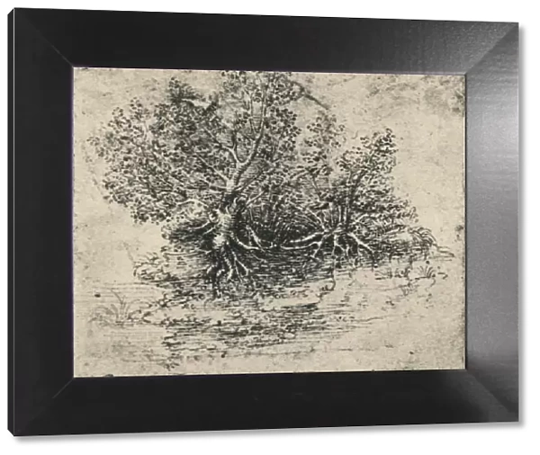 Two Trees on the Bank of a Stream, c1480 (1945). Artist: Leonardo da Vinci