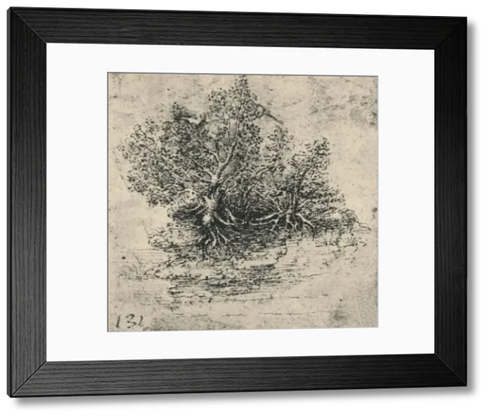 Framed Print : Two Trees on the Bank of a Stream, c1480 (1945). Artist: Leonardo da Vinci Framed Print : Two Trees on the Bank of a Stream, c1480 (1945). Artist: Leonardo da Vinci
