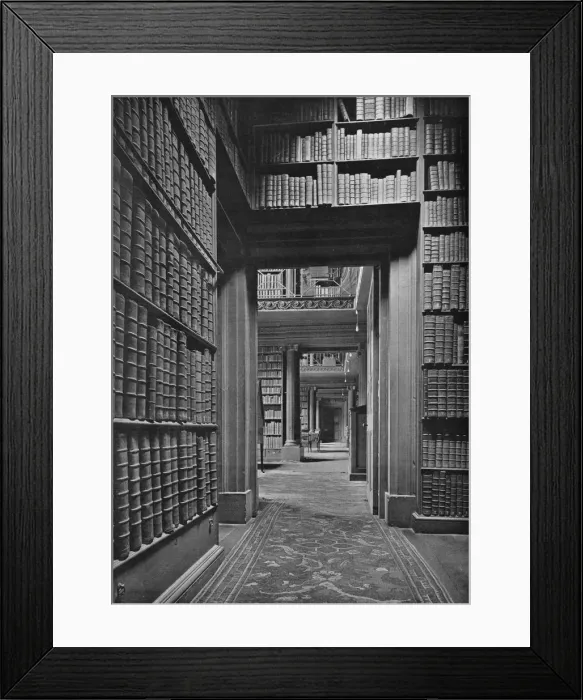Framed Print : Some Staple Authors Sleeping on their Shelves, 1926 Framed Print : Some Staple Authors Sleeping on their Shelves, 1926
