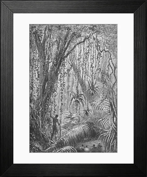 Framed Print : Brazilian Forest, c1885 (1890). Artist: Robert Taylor Pritchett Framed Print : Brazilian Forest, c1885 (1890). Artist: Robert Taylor Pritchett