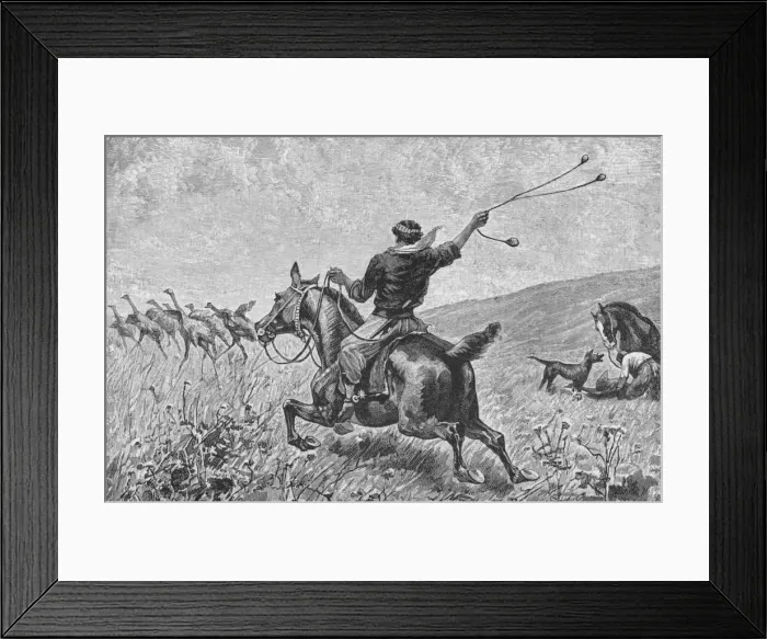 Framed Print : Throwing The Bolas, c1885, (1890). Artist: Robert Taylor Pritchett Framed Print : Throwing The Bolas, c1885, (1890). Artist: Robert Taylor Pritchett