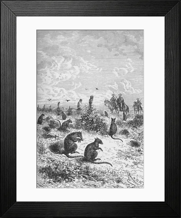 Framed Print : Bizcachas, c1885, (1890). Artist: Robert Taylor Pritchett Framed Print : Bizcachas, c1885, (1890). Artist: Robert Taylor Pritchett