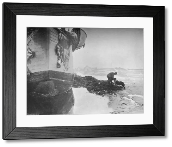 Framed Print : The Stern of the Fram. Johansen and Sultan, 16 June, 1894, (1897) Framed Print : The Stern of the Fram. Johansen and Sultan, 16 June, 1894, (1897)