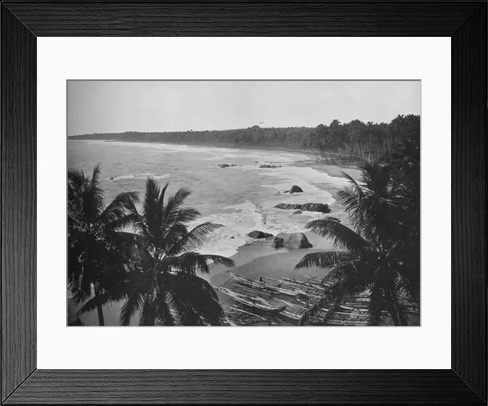 Framed Print : View from Mount Lavinia, Showing Cocoanut Palms along Seashore, c1890, (1910). Artist: Alfred William Amandus Plate Framed Print : View from Mount Lavinia, Showing Cocoanut Palms along Seashore, c1890, (1910). Artist: Alfred William Amandus Plate