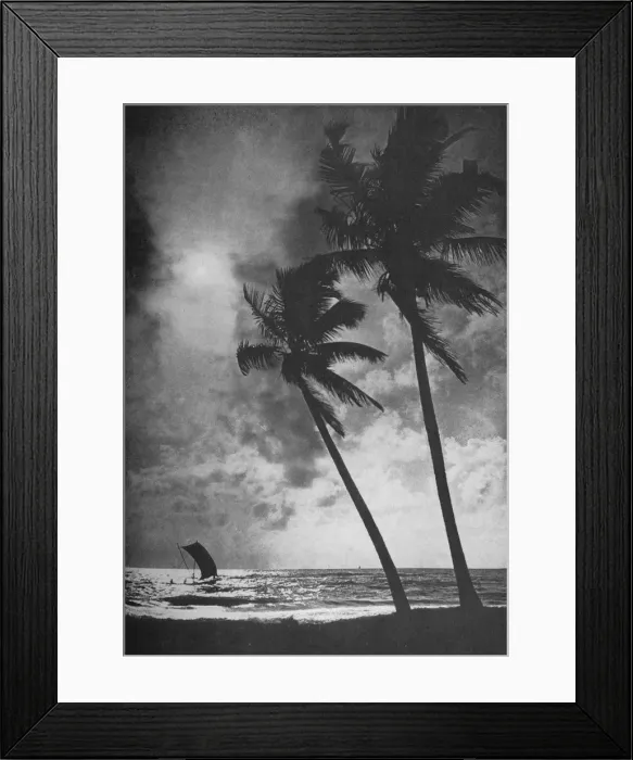 Framed Print : The Palm Fringed Shore at Sunset, c1890, (1910). Artist: Alfred William Amandus Plate Framed Print : The Palm Fringed Shore at Sunset, c1890, (1910). Artist: Alfred William Amandus Plate