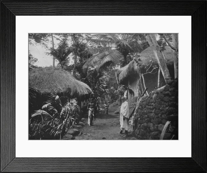 Framed Print : Native Huts in the Jungle, c1890, (1910). Artist: Alfred William Amandus Plate Framed Print : Native Huts in the Jungle, c1890, (1910). Artist: Alfred William Amandus Plate