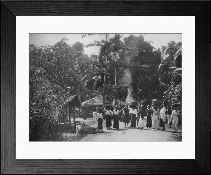Framed Print : A Jungle Village, c1890, (1910). Artist: Alfred William Amandus Plate Framed Print : A Jungle Village, c1890, (1910). Artist: Alfred William Amandus Plate