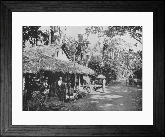 Framed Print : Boralesgamuwa, c1890, (1910). Artist: Alfred William Amandus Plate Framed Print : Boralesgamuwa, c1890, (1910). Artist: Alfred William Amandus Plate