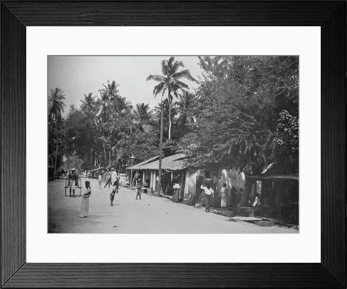 Framed Print : Roadside Scene on the Way to Mt. Lavinia, c1890, (1910). Artist: Alfred William Amandus Plate Framed Print : Roadside Scene on the Way to Mt. Lavinia, c1890, (1910). Artist: Alfred William Amandus Plate