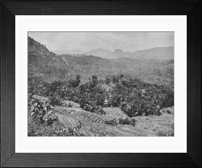 Framed Print : View of Paddy Field from Kadugannawa Pass, c1890, (1910). Artist: Alfred William Amandus Plate Framed Print : View of Paddy Field from Kadugannawa Pass, c1890, (1910). Artist: Alfred William Amandus Plate