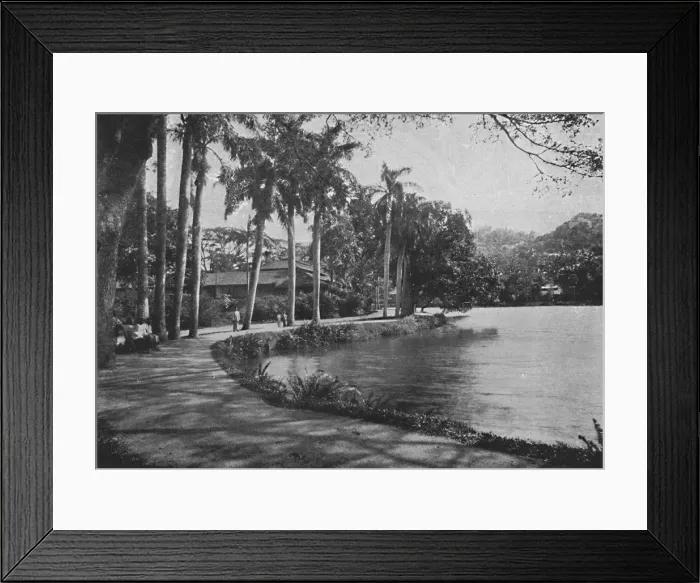 Framed Print : Kandy Lake and Drive, c1890, (1910). Artist: Alfred William Amandus Plate Framed Print : Kandy Lake and Drive, c1890, (1910). Artist: Alfred William Amandus Plate