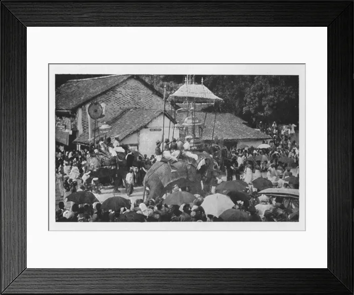 Framed Print : Kandy Perahera. - A Procession of Elephants carried through by the Kandyan Chiefs, c1890, (1910). Artist: Alfred William Amandus Plate Framed Print : Kandy Perahera. - A Procession of Elephants carried through by the Kandyan Chiefs, c1890, (1910). Artist: Alfred William Amandus Plate