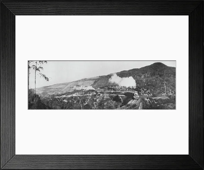Framed Print : A Scene on the Up-Country Railway. Passing a Tea Estate at Nanu Oya, c1890, (1910). Artist: Alfred William Amandus Plate Framed Print : A Scene on the Up-Country Railway. Passing a Tea Estate at Nanu Oya, c1890, (1910). Artist: Alfred William Amandus Plate