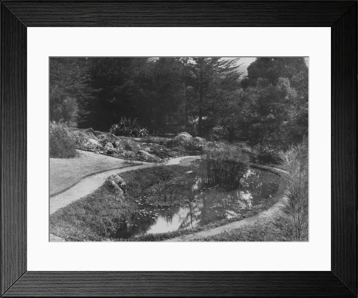 Framed Print : The Rock Garden, Hakgalla Gardens, Nuwara Eliya, c1890, (1910). Artist: Alfred William Amandus Plate Framed Print : The Rock Garden, Hakgalla Gardens, Nuwara Eliya, c1890, (1910). Artist: Alfred William Amandus Plate