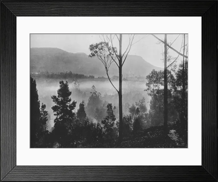 Framed Print : The Early Morning Mist Rising at Nuwara Eliya, c1890, (1910). Artist: Alfred William Amandus Plate Framed Print : The Early Morning Mist Rising at Nuwara Eliya, c1890, (1910). Artist: Alfred William Amandus Plate