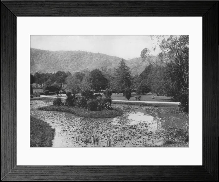 Framed Print : Hakgalla Gardens from the Lotus Pond, Nuwara Eliya, c1890, (1910). Artist: Alfred William Amandus Plate Framed Print : Hakgalla Gardens from the Lotus Pond, Nuwara Eliya, c1890, (1910). Artist: Alfred William Amandus Plate
