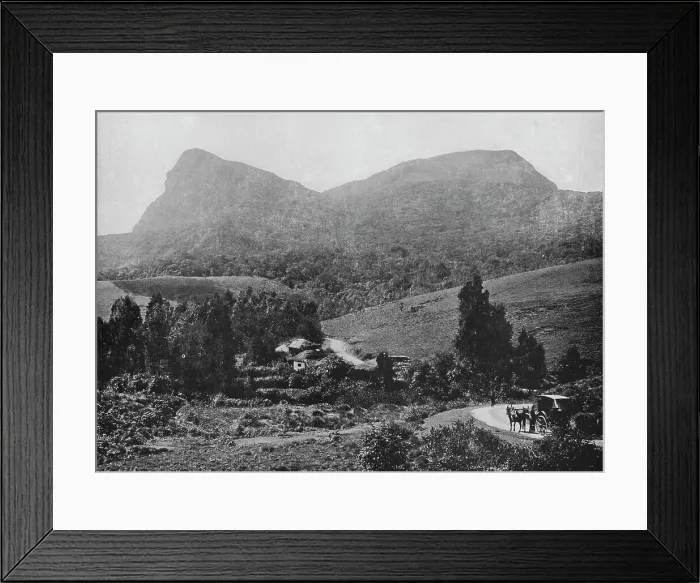 Framed Print : On the Road to Hakgalla. Hakgalla Rock in the Distance, c1890, (1910). Artist: Alfred William Amandus Plate Framed Print : On the Road to Hakgalla. Hakgalla Rock in the Distance, c1890, (1910). Artist: Alfred William Amandus Plate