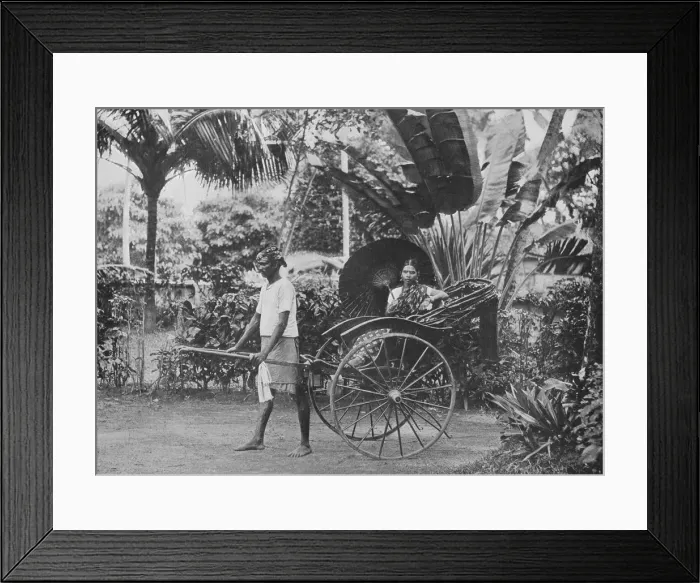 Framed Print : Tamil Lady in Rickshaw, c1890, (1910). Artist: Alfred William Amandus Plate Framed Print : Tamil Lady in Rickshaw, c1890, (1910). Artist: Alfred William Amandus Plate