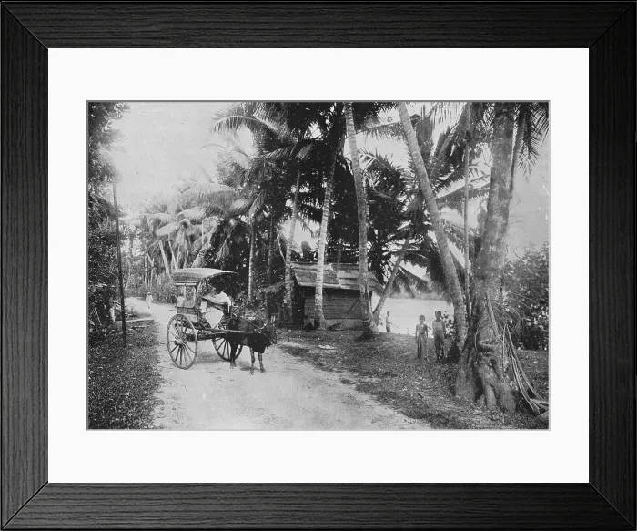 Framed Print : Road Beside the Kelaniya River, c1890, (1910). Artist: Alfred William Amandus Plate Framed Print : Road Beside the Kelaniya River, c1890, (1910). Artist: Alfred William Amandus Plate