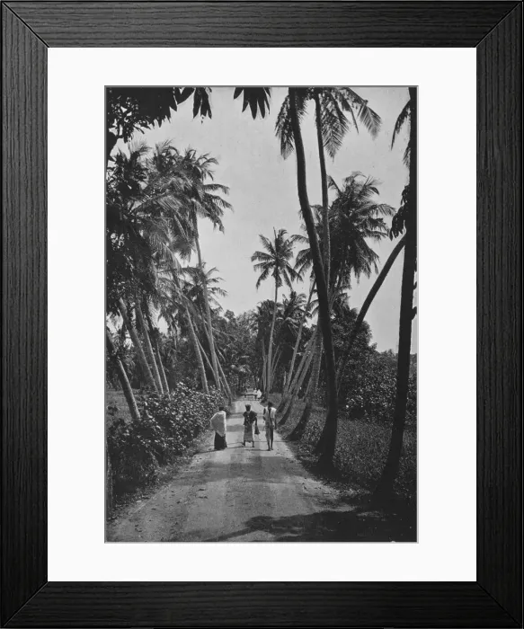 Framed Print : A Path Through Paddy Fields, c1890, (1910). Artist: Alfred William Amandus Plate Framed Print : A Path Through Paddy Fields, c1890, (1910). Artist: Alfred William Amandus Plate
