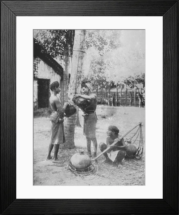 Framed Print : Toddy Drawers, c1890, (1910). Artist: Alfred William Amandus Plate Framed Print : Toddy Drawers, c1890, (1910). Artist: Alfred William Amandus Plate
