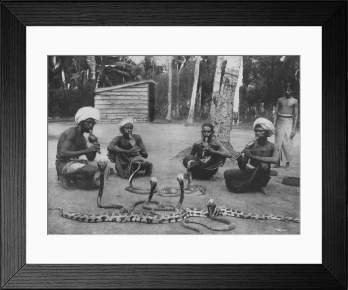 Framed Print : Snake Charmers, c1890, (1910). Artist: Alfred William Amandus Plate Framed Print : Snake Charmers, c1890, (1910). Artist: Alfred William Amandus Plate