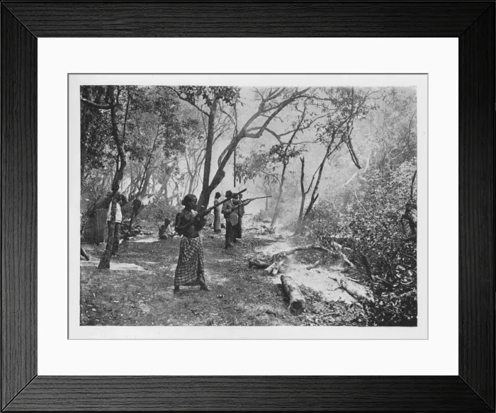 Framed Print : Elephant Kraaling in Ceylon Towards the Stockade, c1890, (1910). Artist: Alfred William Amandus Plate Framed Print : Elephant Kraaling in Ceylon Towards the Stockade, c1890, (1910). Artist: Alfred William Amandus Plate
