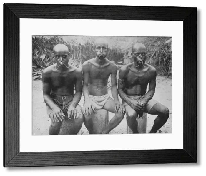 Framed Print : Typical Pearl Drivers, c1890, (1910). Artist: Alfred William Amandus Plate Framed Print : Typical Pearl Drivers, c1890, (1910). Artist: Alfred William Amandus Plate