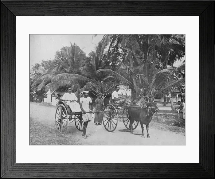 Framed Print : Rickshaw and Racing Hackery, c1890, (1910). Artist: Alfred William Amandus Plate