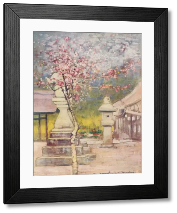 Framed Print : Peach-Blossom, c1887, (1901). Artist: Mortimer L Menpes Framed Print : Peach-Blossom, c1887, (1901). Artist: Mortimer L Menpes
