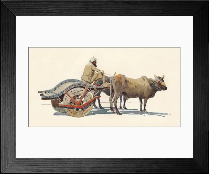 Framed Print : A Bullock Cart, Jodhpur, c1880 (1905). Artist: Alexander Henry Hallam Murray Framed Print : A Bullock Cart, Jodhpur, c1880 (1905). Artist: Alexander Henry Hallam Murray