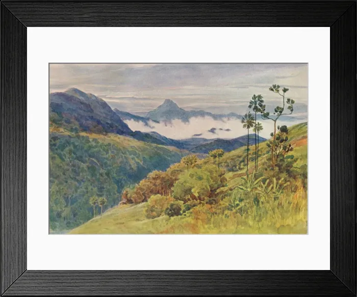 Framed Print : Morning Mists in the Valley of the Mahawelli Gangha, c1880 (1905). Artist: Alexander Henry Hallam Murray Framed Print : Morning Mists in the Valley of the Mahawelli Gangha, c1880 (1905). Artist: Alexander Henry Hallam Murray