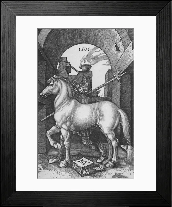 Framed Print : The Small Horse, 1505, (1906). Artist: Albrecht Durer Framed Print : The Small Horse, 1505, (1906). Artist: Albrecht Durer