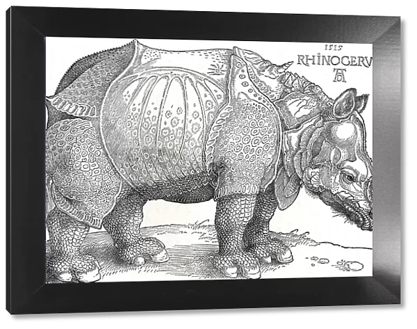 A Rhinoceros, 1515, (1906). Artist: Albrecht Durer
