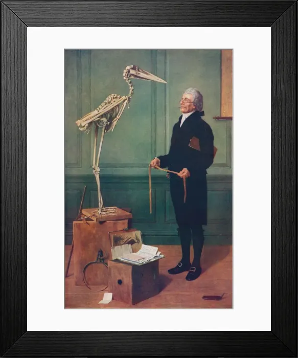 Framed Print : Measurement is Science, 1879, (c1915). Artist: Henry Stacy Marks Framed Print : Measurement is Science, 1879, (c1915). Artist: Henry Stacy Marks