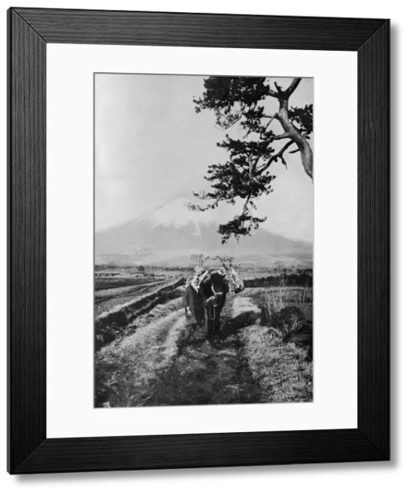 Framed Print : Peasants of the region of Fuji not by name but merely as O Yama, the Honourable Mountain, c1900, Artist: Julian Leonard Street Framed Print : Peasants of the region of Fuji not by name but merely as O Yama, the Honourable Mountain, c1900, Artist: Julian Leonard Street