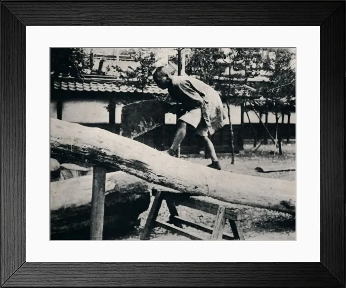 Framed Print : Sawing and planing are made with a pulling instead of a driving motion, c1900, (1921). Artist: Julian Leonard Street Framed Print : Sawing and planing are made with a pulling instead of a driving motion, c1900, (1921). Artist: Julian Leonard Street