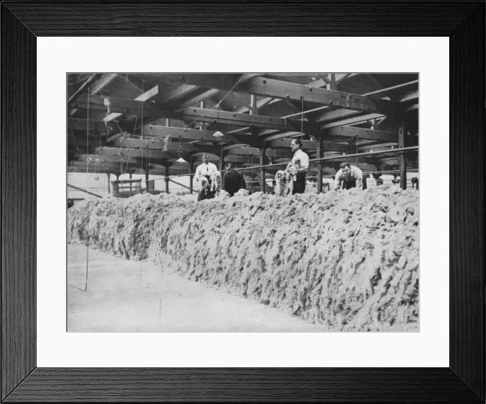 Framed Print : The making of khaki - Wool blending, 1915 Framed Print : The making of khaki - Wool blending, 1915