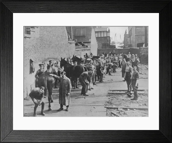 Framed Print : The New Army in training at the Farriers School, 1915 Framed Print : The New Army in training at the Farriers School, 1915