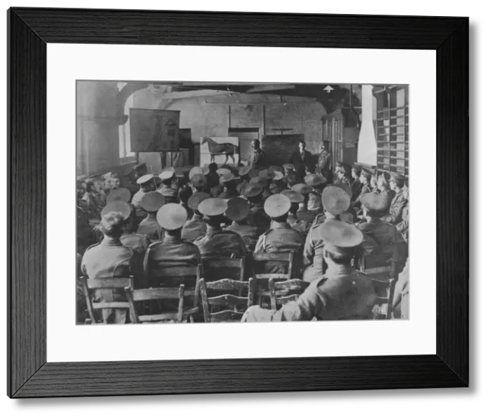 Framed Print : A lecture on the anatomy of the horse, 1915 Framed Print : A lecture on the anatomy of the horse, 1915