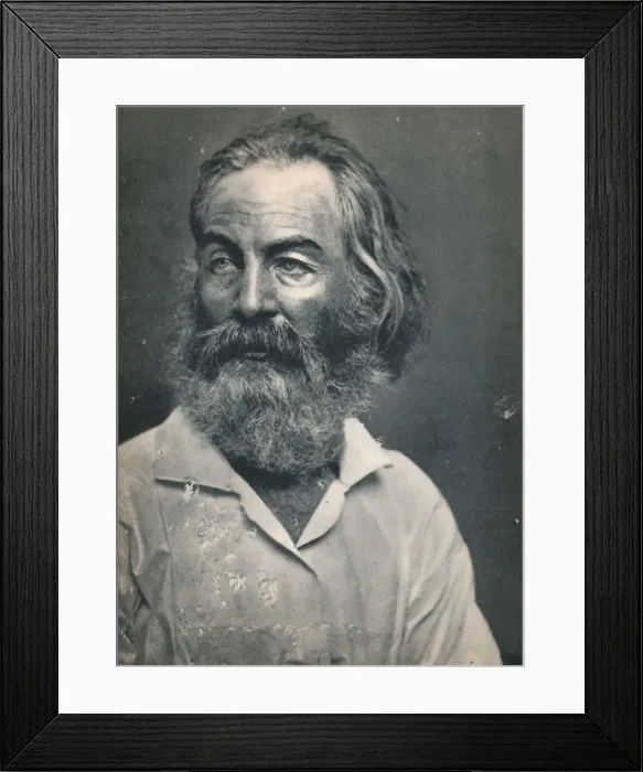 Framed Print : Walt Whitman, c1862, (1939). Artist: Mathew Brady Framed Print : Walt Whitman, c1862, (1939). Artist: Mathew Brady