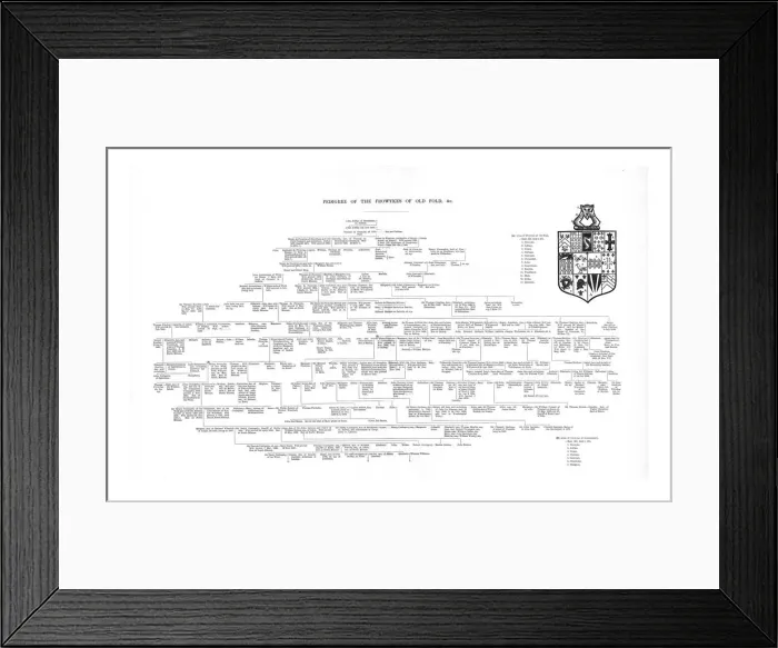 Framed Print : Pedigree of the Frowykes of Old Fold, 1886 Framed Print : Pedigree of the Frowykes of Old Fold, 1886