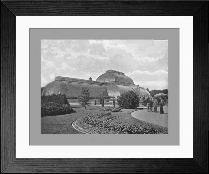 Framed Print : The Great Palm House, Kew Gardens, London, c1900. Artists: Decimus Burton, York & Son Framed Print : The Great Palm House, Kew Gardens, London, c1900. Artists: Decimus Burton, York & Son